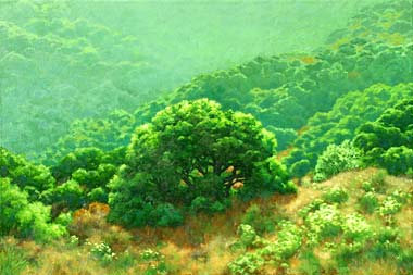 Hills Near Livermore