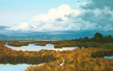 Baylands Egret