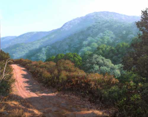 Trail to Black Mountain