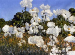 Matilija Poppies, 22x28 in, Soft Pastel, painting by Jim Promessi, PleinAir Salon Floral Category Winner